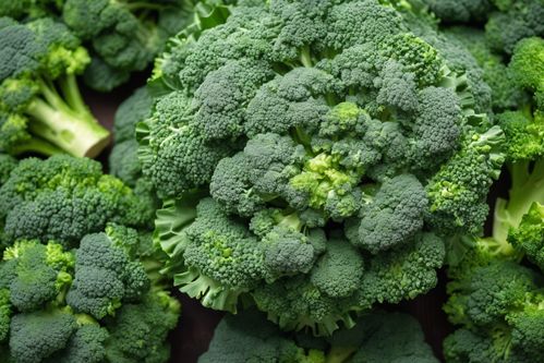 健康餐桌的綠色瑰寶 新鮮西藍(lán)花，從農(nóng)場直達(dá)您家